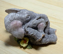 Tuskers 90797 Love is a Cuddle Hand Painted Elephant and Baby Figurine