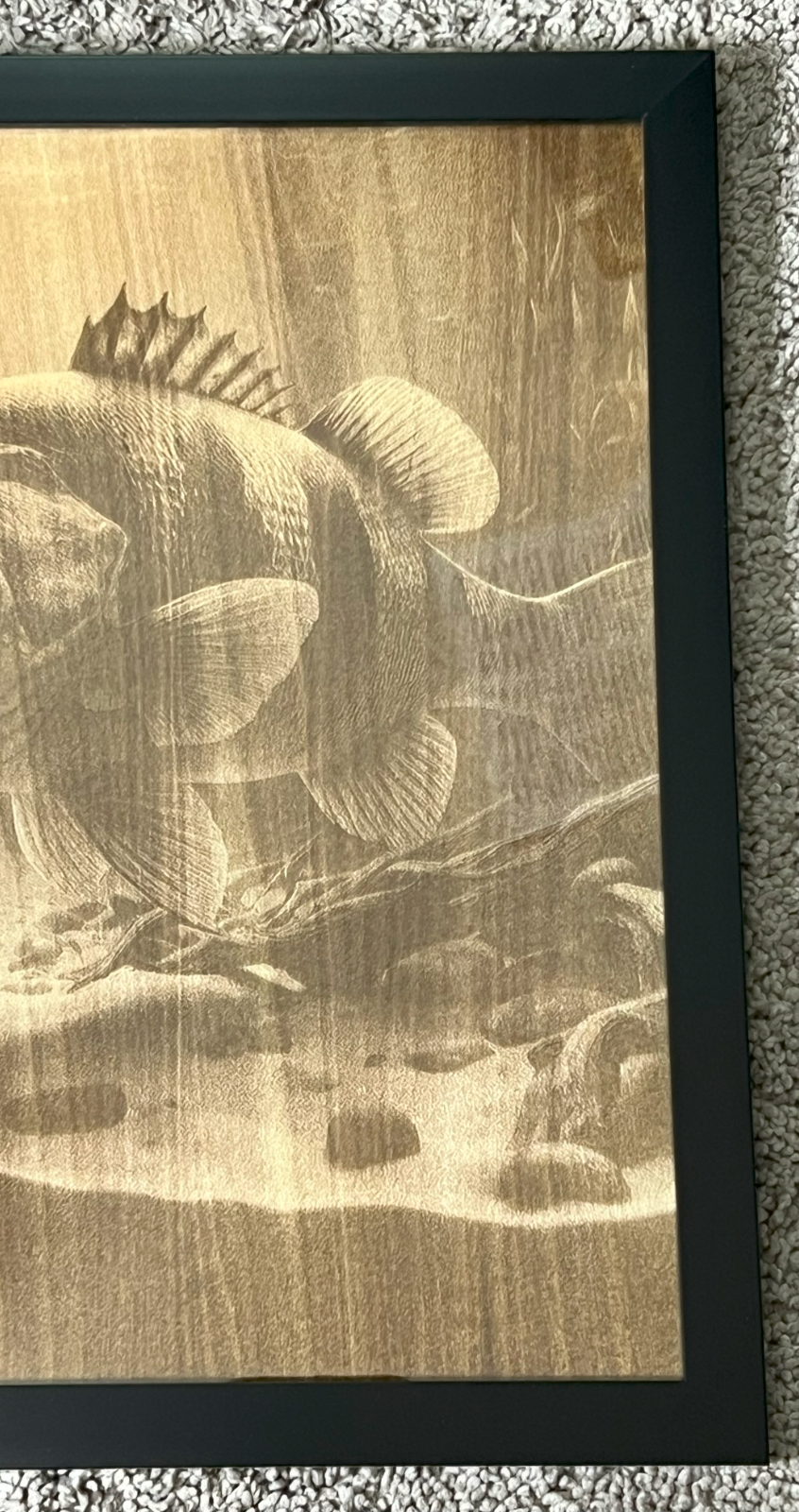 Largemouth Bass 3D Laser Engraved Portrait  11