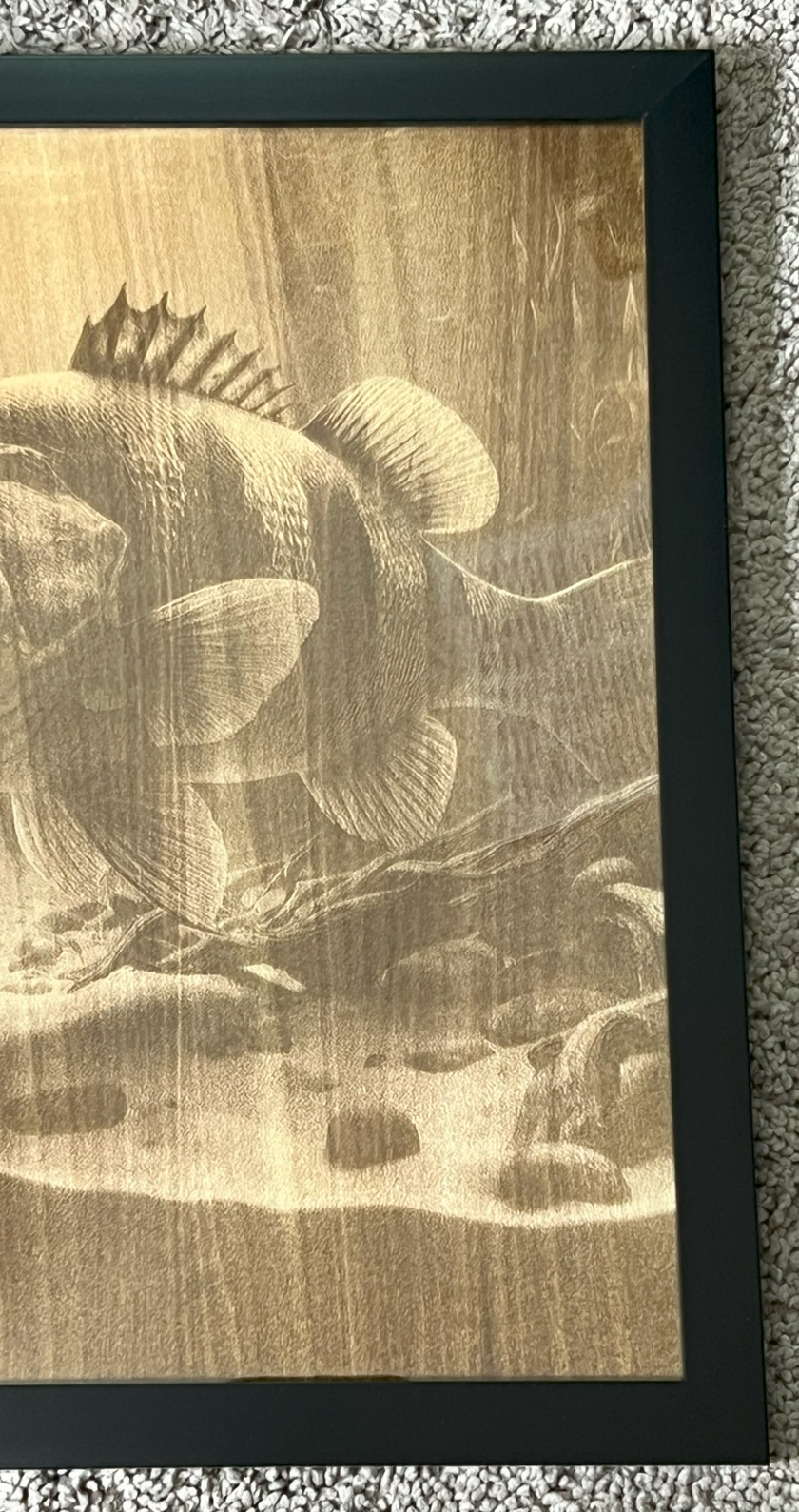 Largemouth Bass 3D Laser Engraved Portrait  11