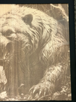 Growling Grizzly Bear 3D Laser Engraved Portrait  11