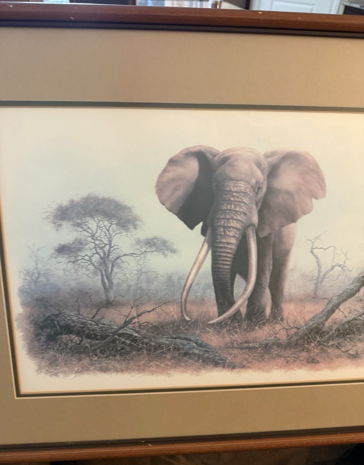 Vintage Limited Edition Art Print Ahmed of Kenya Denis Murphy Signed 46/1000