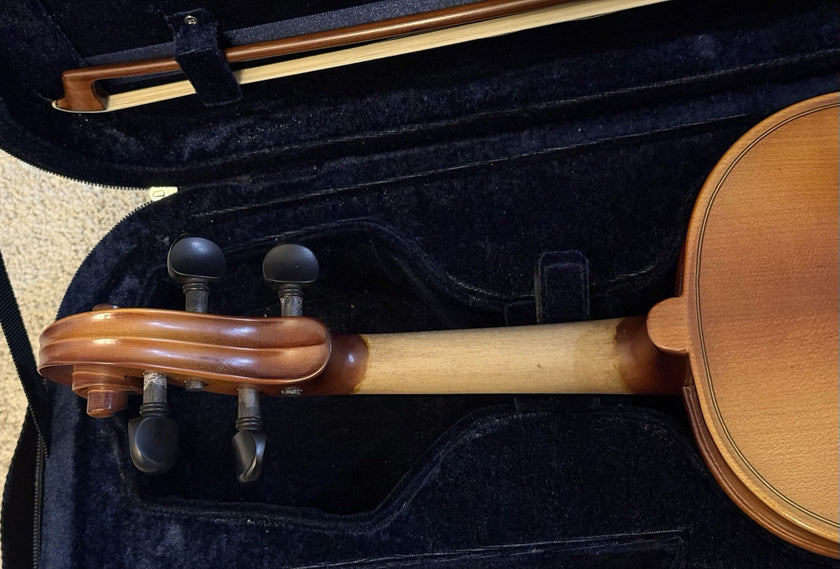 D Z Strad Model 100 Professional Handmade Violin 4/4 with Case and Accessories
