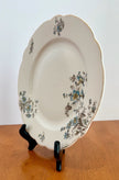 Vintage Staffordshire England Blossomtime Blue Floral 9