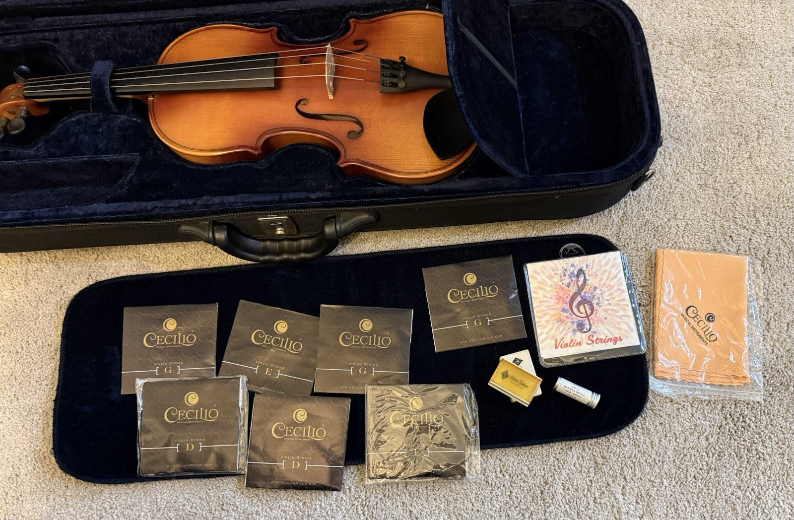 D Z Strad Model 100 Professional Handmade Violin 4/4 with Case and Accessories