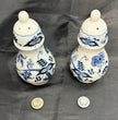 Vintage Blue Danube Floral Blue Onion Pattern Salt & Pepper Shaker Set Japan