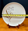 Vintage Syracuse Carefree True China Windswept 10-Inch Dinner Plate