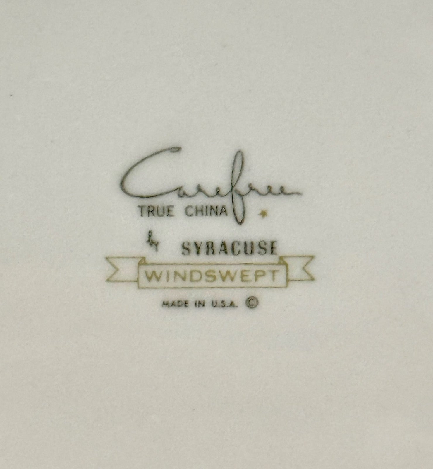 Vintage Syracuse Carefree True China Windswept 10-Inch Dinner Plate