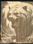 Growling Grizzly Bear 3D Laser Engraved Portrait  11