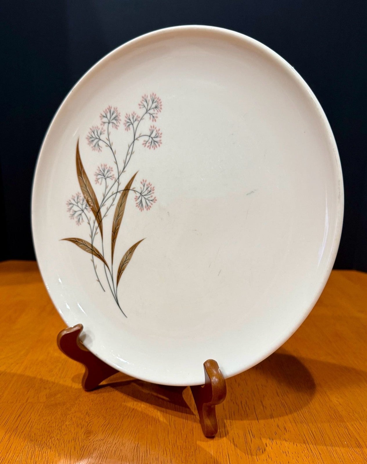 Vintage Syracuse Carefree True China Windswept 10-Inch Dinner Plate