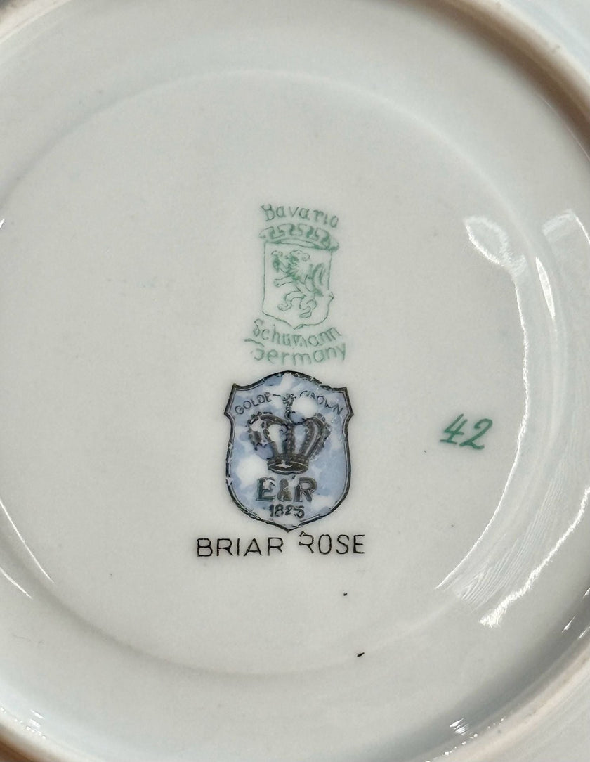Schumann Bavaria Golden Crown E&R Briar Rose Porcelain Teacup Saucer