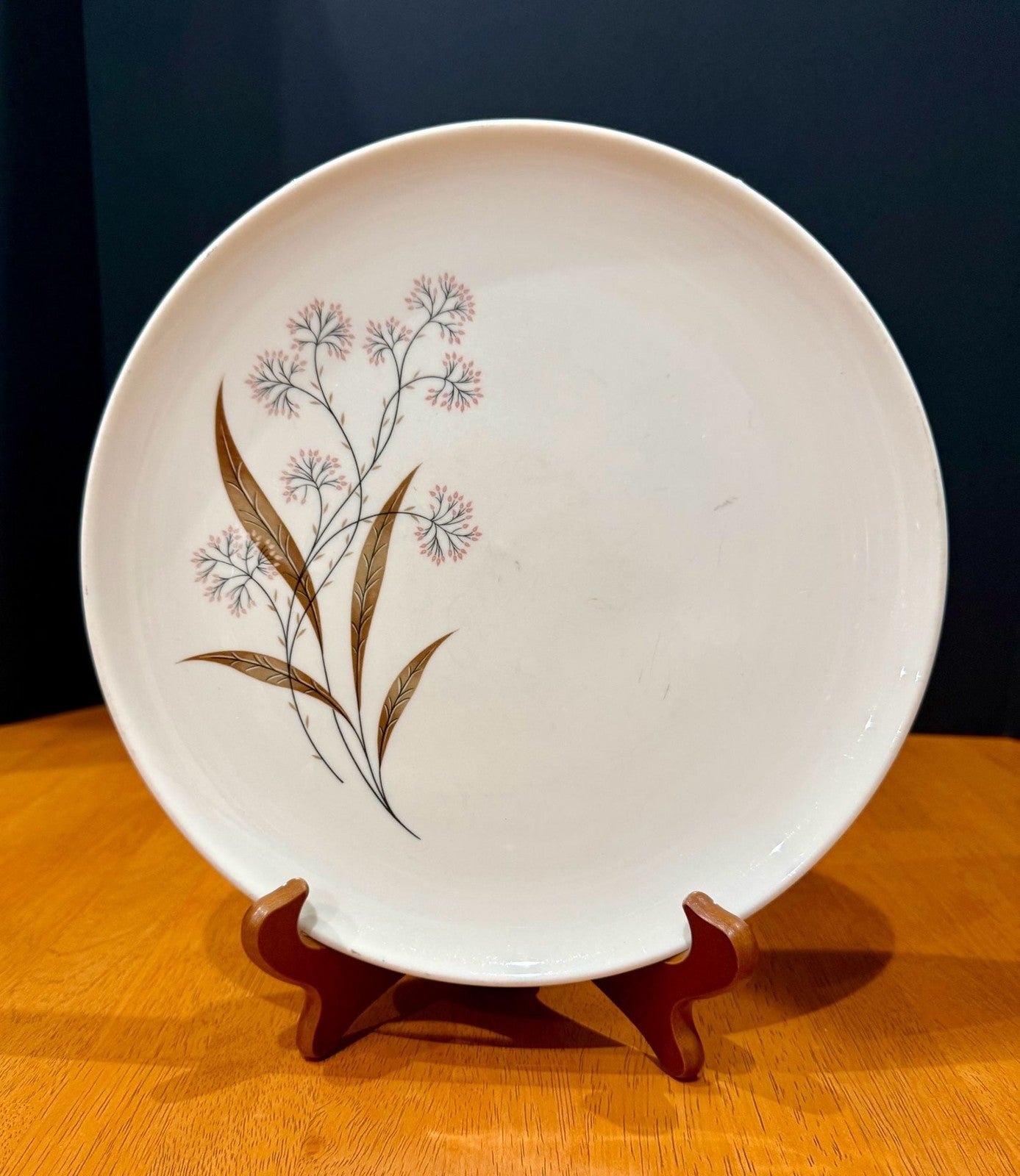 Vintage Syracuse Carefree True China Windswept 10-Inch Dinner Plate