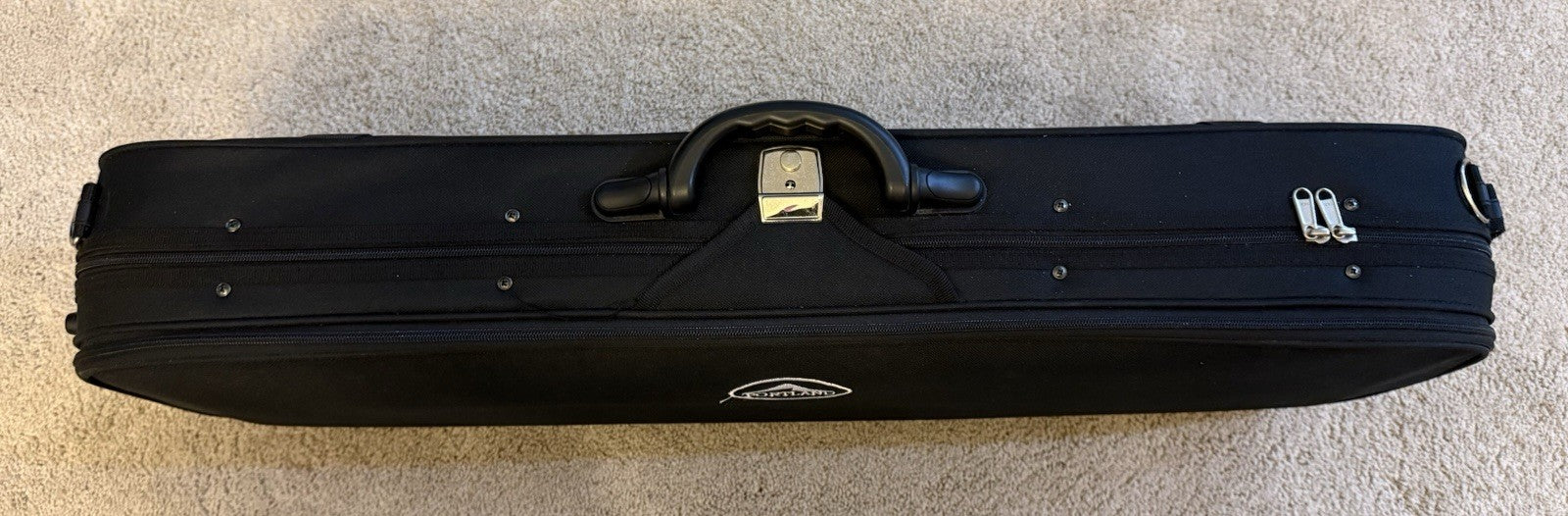 D Z Strad Model 100 Professional Handmade Violin 4/4 with Case and Accessories