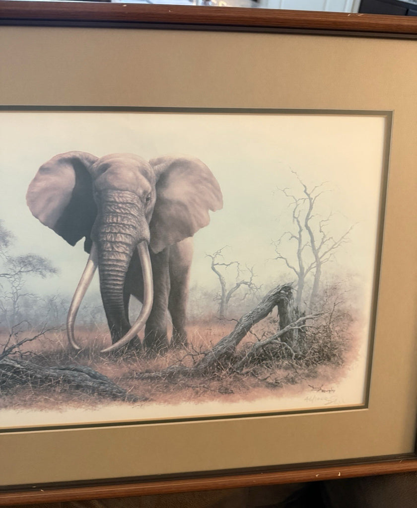 Vintage Limited Edition Art Print Ahmed of Kenya Denis Murphy Signed 46/1000