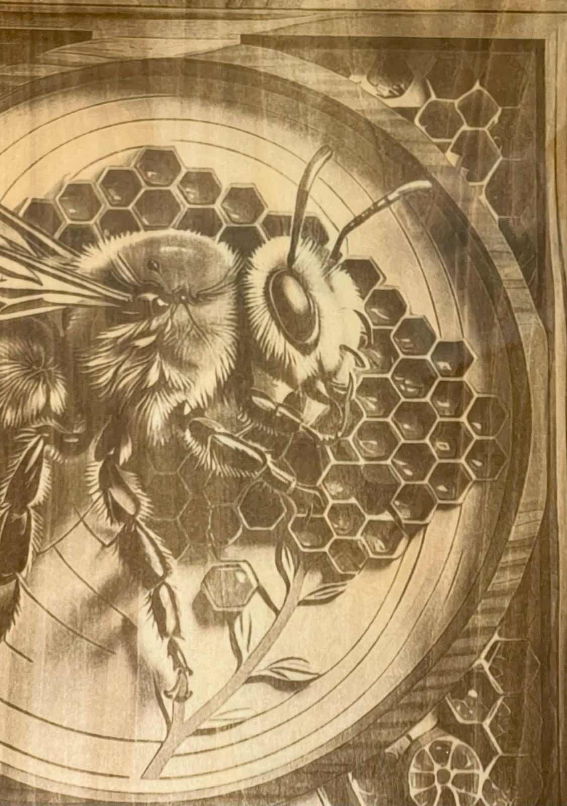Worker Bee 3D Laser Engraved Portrait  11