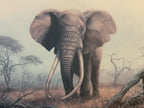 Vintage Limited Edition Art Print Ahmed of Kenya Denis Murphy Signed 46/1000