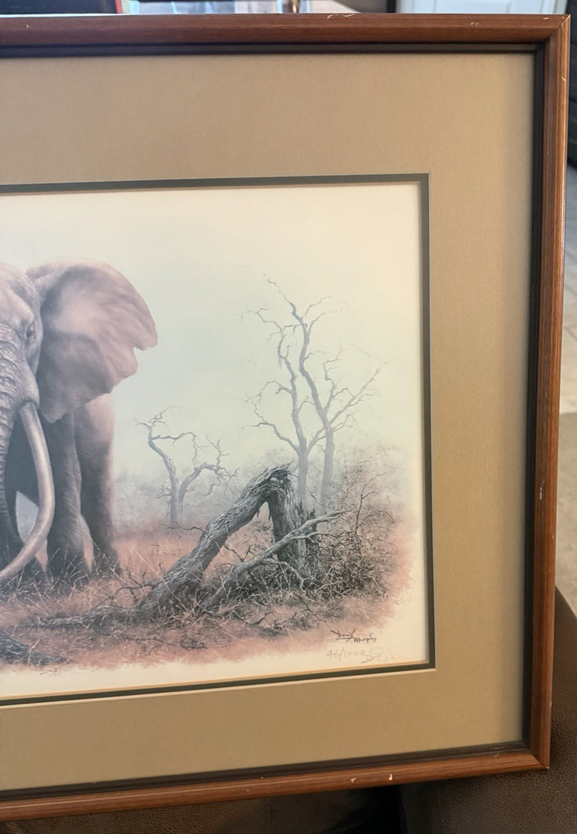 Vintage Limited Edition Art Print Ahmed of Kenya Denis Murphy Signed 46/1000