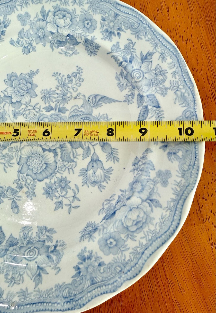 Antique Hill Pottery B&L Asiatic Pheasant Blue and White 10-Inch Dinner Plate