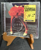 Feet All over the Floor by Stairwell Sisters (CD, 2005)