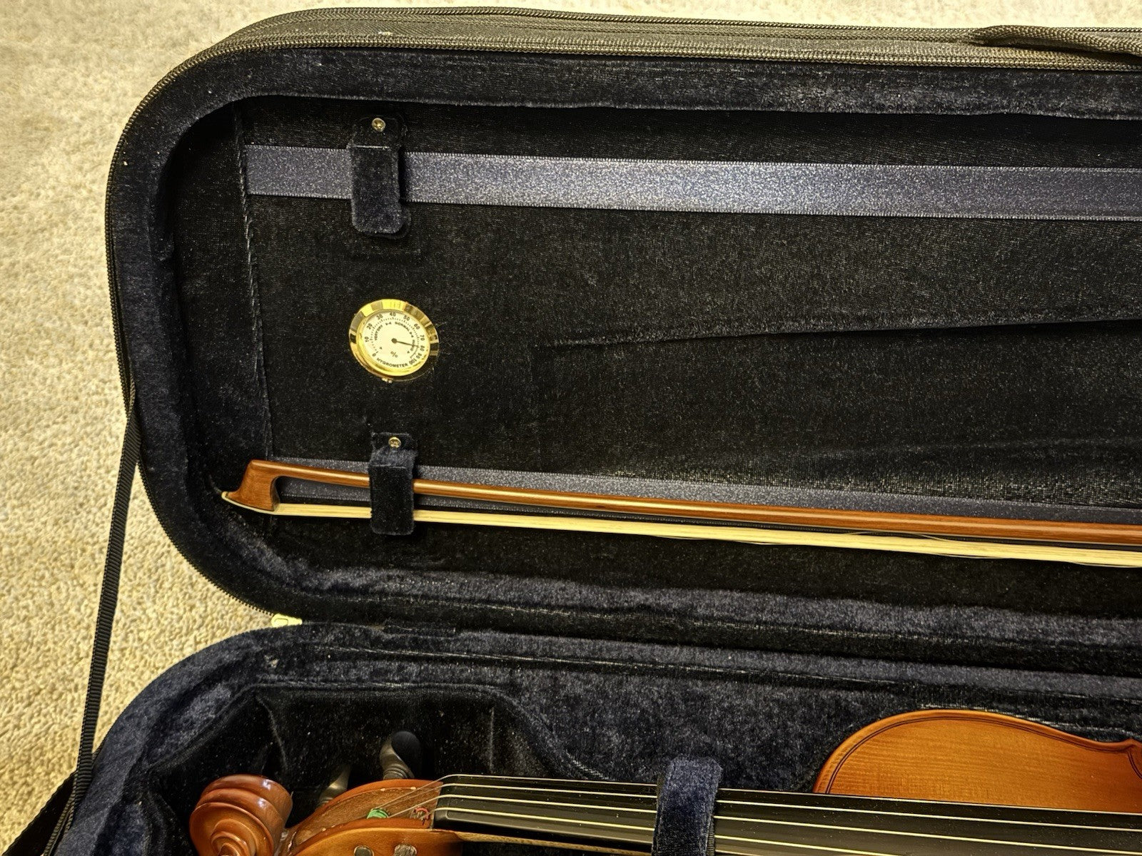 D Z Strad Model 100 Professional Handmade Violin 4/4 with Case and Accessories