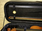 D Z Strad Model 100 Professional Handmade Violin 4/4 with Case and Accessories