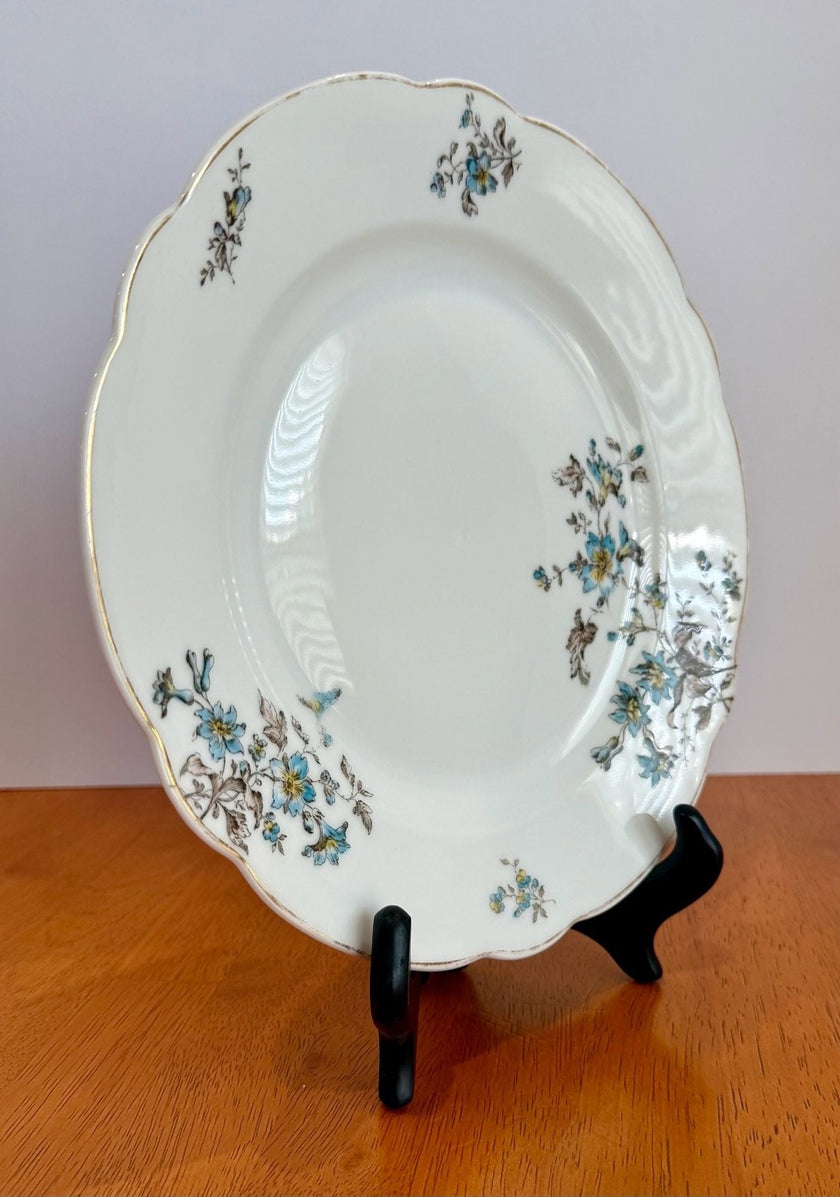 Vintage Staffordshire England Blossomtime Blue Floral 9