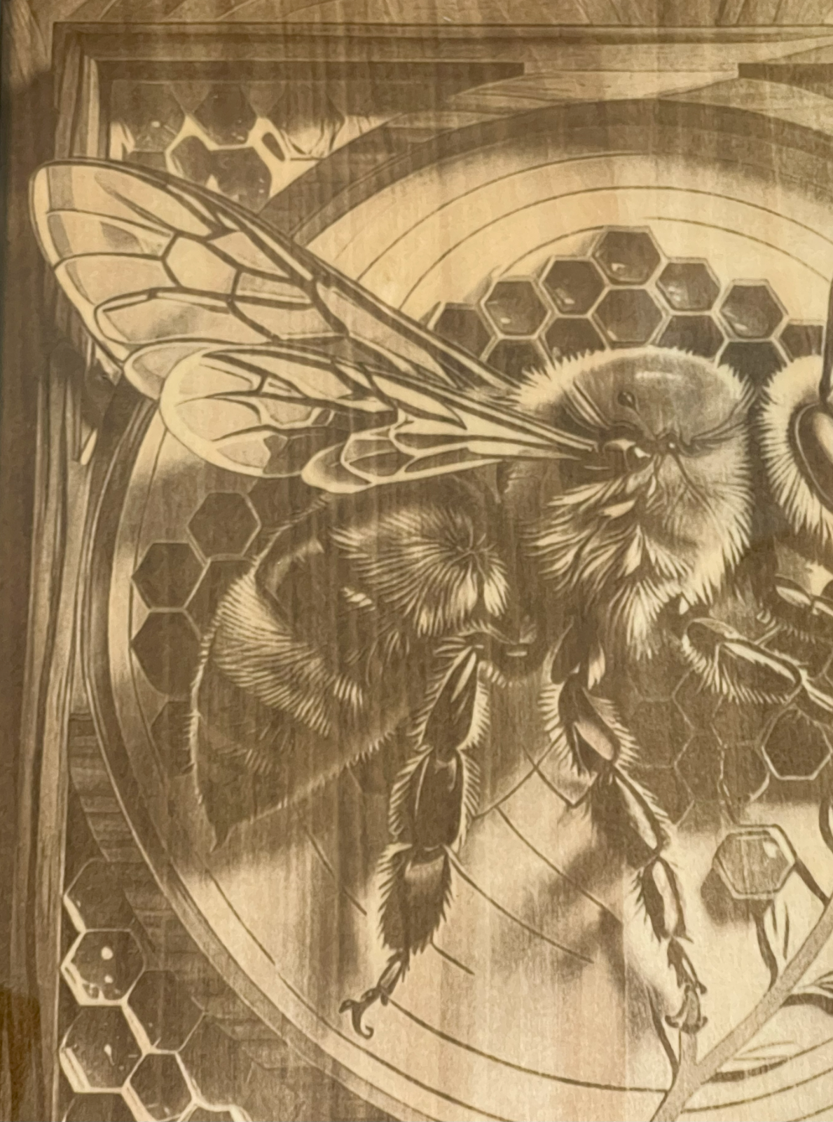 Worker Bee 3D Laser Engraved Portrait  11