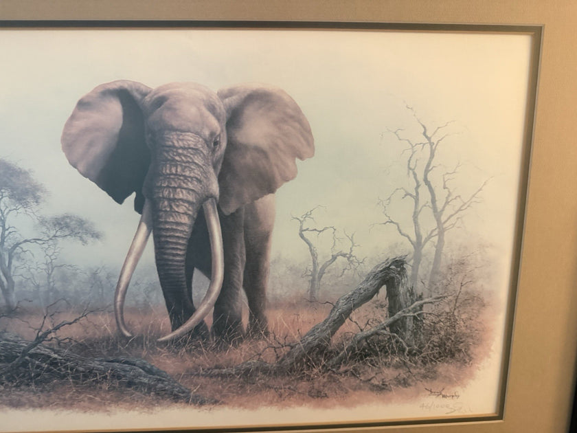 Vintage Limited Edition Art Print Ahmed of Kenya Denis Murphy Signed 46/1000