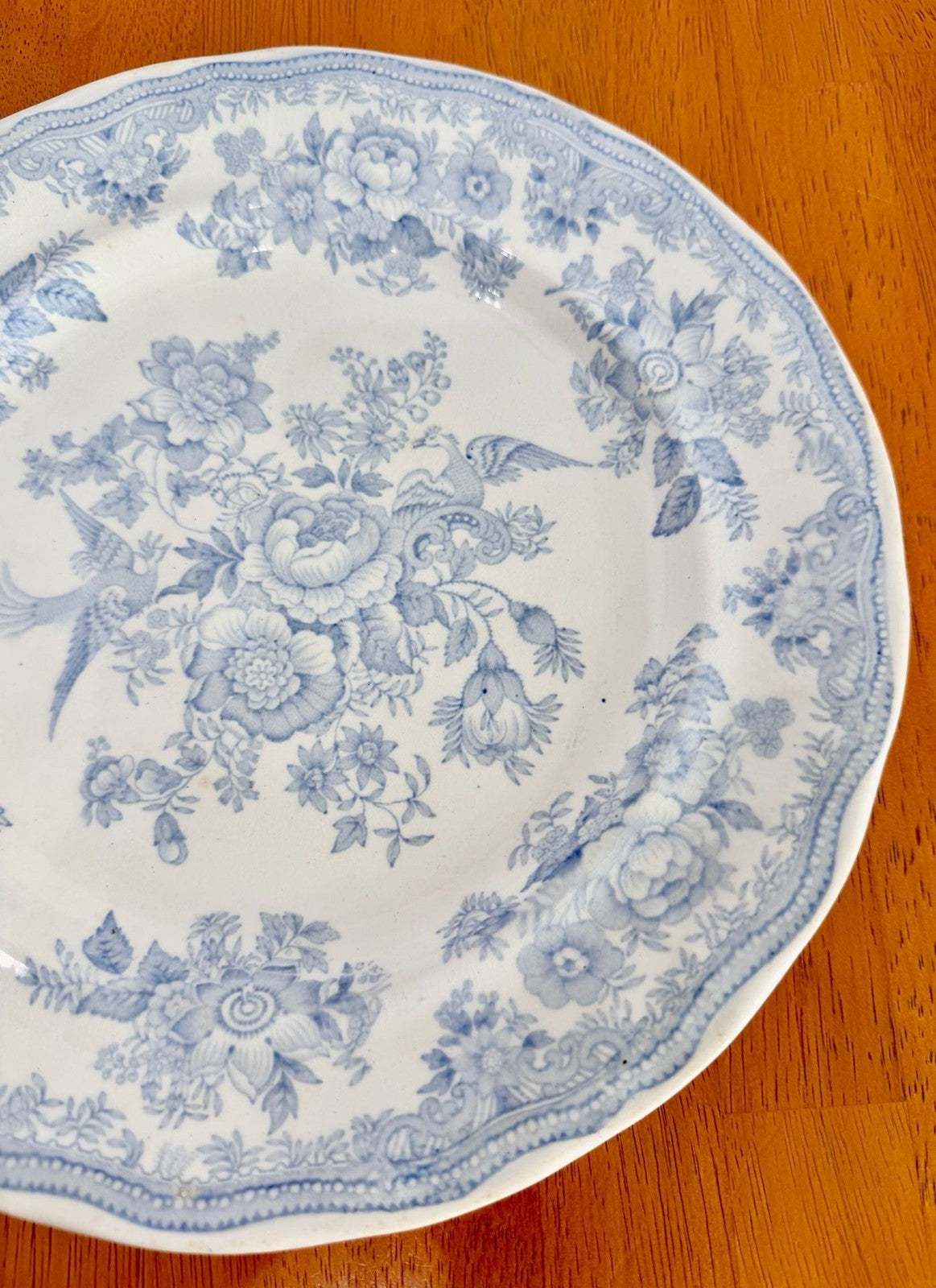 Antique Hill Pottery B&L Asiatic Pheasant Blue and White 10-Inch Dinner Plate