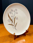 Vintage Syracuse Carefree True China Windswept 10-Inch Dinner Plate