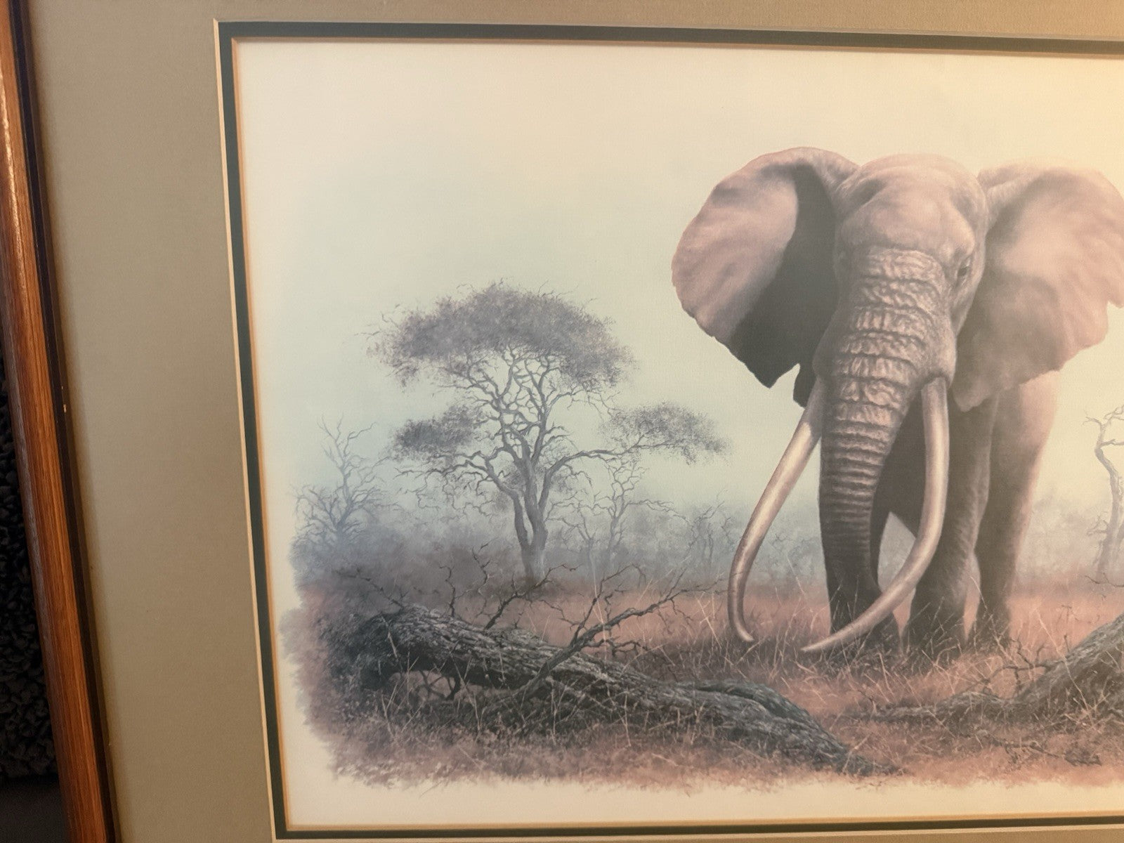 Vintage Limited Edition Art Print Ahmed of Kenya Denis Murphy Signed 46/1000