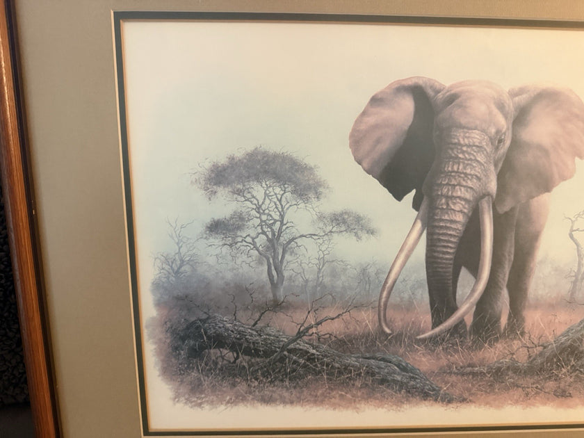 Vintage Limited Edition Art Print Ahmed of Kenya Denis Murphy Signed 46/1000