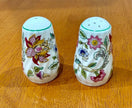 Vintage Minton Haddon Hall Bone China Salt and Pepper Shaker Set Floral