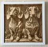 11  X 11 Engraved Art Panel Dachshund Brothers Framed Basswood Engraving