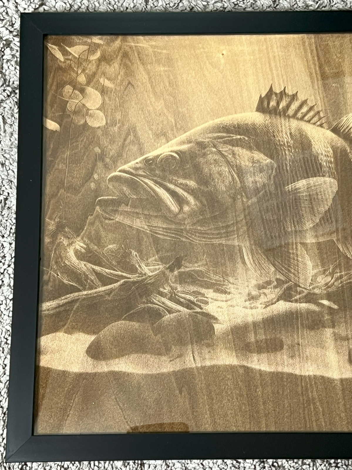 Largemouth Bass 3D Laser Engraved Portrait  11