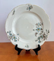 Vintage Staffordshire England Blossomtime Blue Floral 9