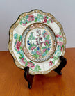 Vintage Coalport Indian Tree Multicolor Scalloped 6 Inch Bread and Butter Plate