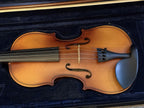 D Z Strad Model 100 Professional Handmade Violin 4/4 with Case and Accessories