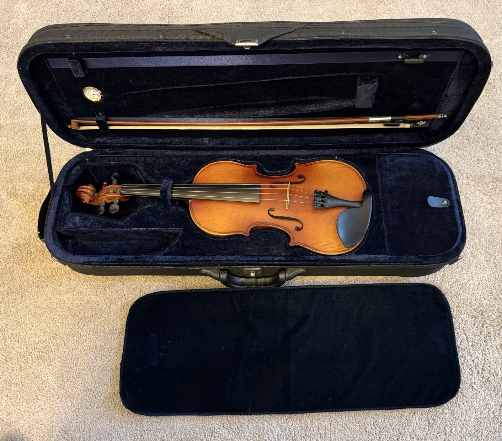 D Z Strad Model 100 Professional Handmade Violin 4/4 with Case and Accessories
