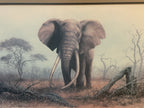 Vintage Limited Edition Art Print Ahmed of Kenya Denis Murphy Signed 46/1000