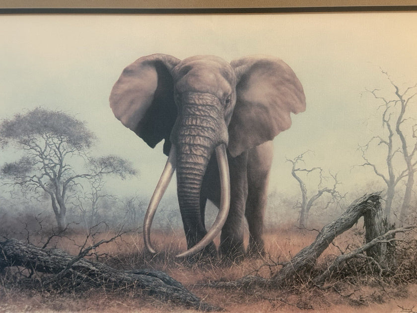 Vintage Limited Edition Art Print Ahmed of Kenya Denis Murphy Signed 46/1000
