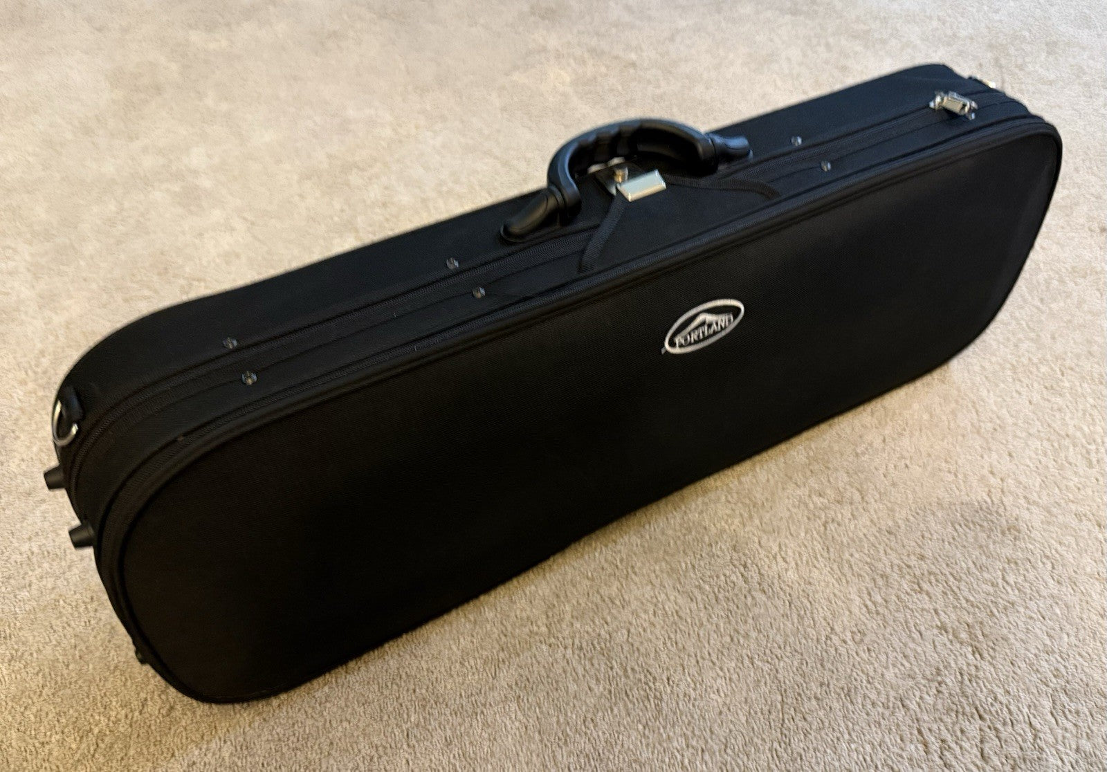 D Z Strad Model 100 Professional Handmade Violin 4/4 with Case and Accessories