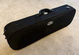 D Z Strad Model 100 Professional Handmade Violin 4/4 with Case and Accessories