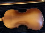 D Z Strad Model 100 Professional Handmade Violin 4/4 with Case and Accessories