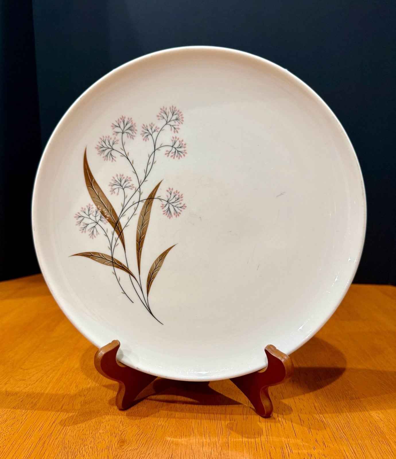 Vintage Syracuse Carefree True China Windswept 10-Inch Dinner Plate