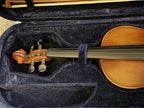 D Z Strad Model 100 Professional Handmade Violin 4/4 with Case and Accessories