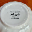 Vintage Argyle Bone China Teacup Saucer Pink and Red Rose Floral Pattern