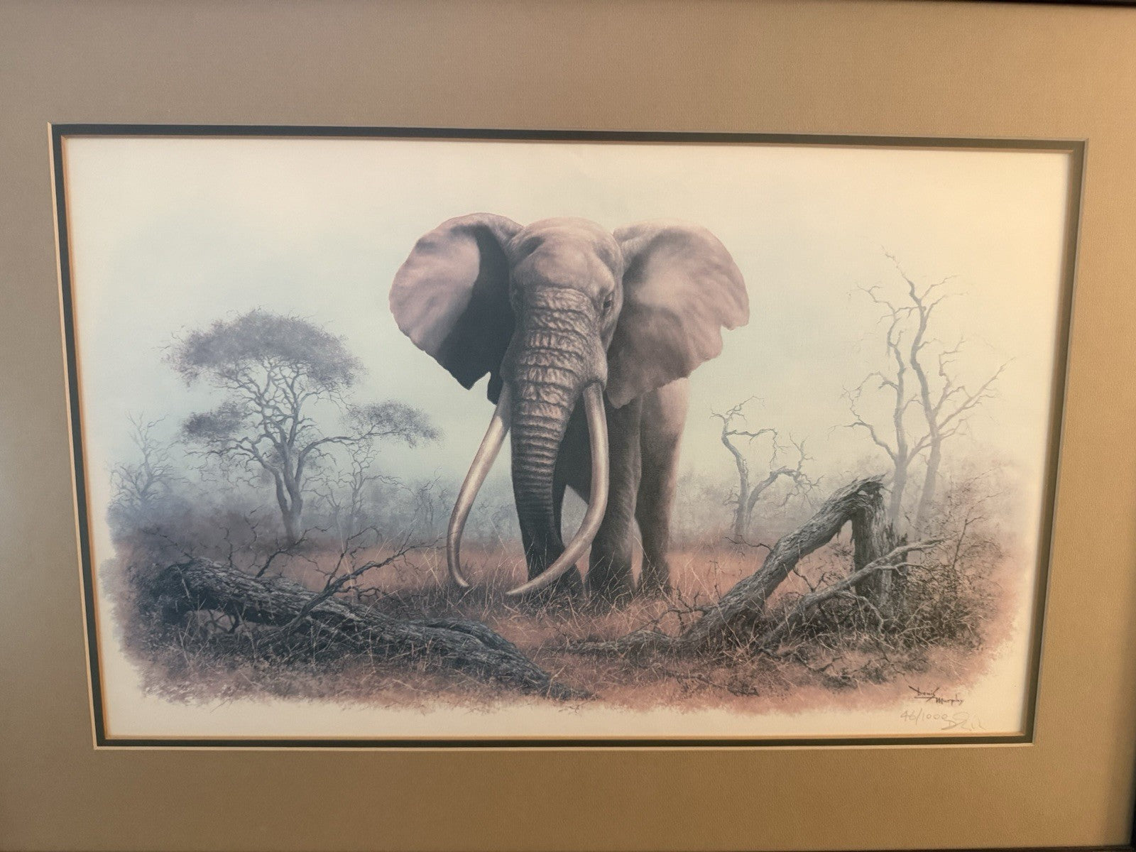 Vintage Limited Edition Art Print Ahmed of Kenya Denis Murphy Signed 46/1000