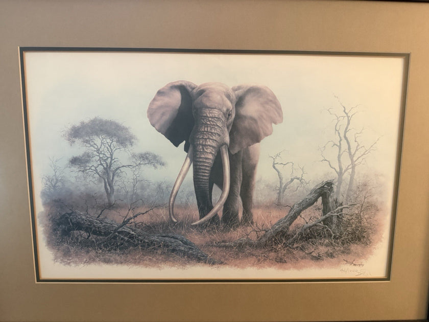 Vintage Limited Edition Art Print Ahmed of Kenya Denis Murphy Signed 46/1000