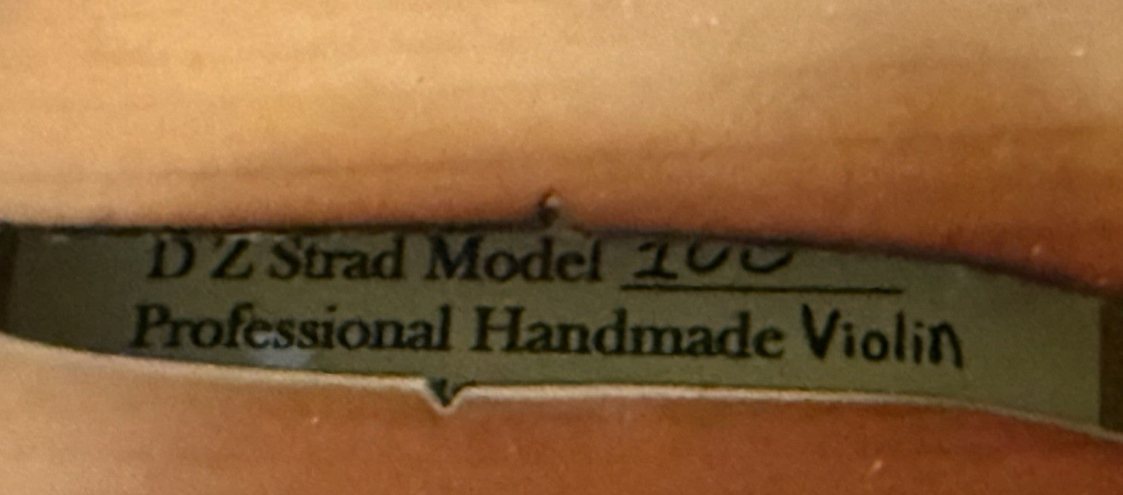 D Z Strad Model 100 Professional Handmade Violin 4/4 with Case and Accessories