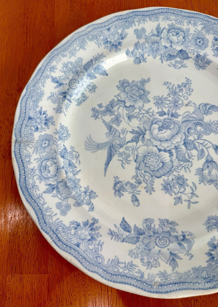 Antique Hill Pottery B&L Asiatic Pheasant Blue and White 10-Inch Dinner Plate